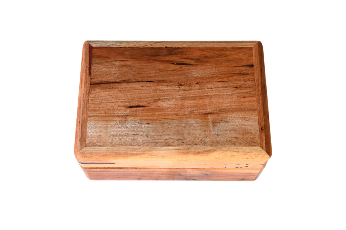 Skög 10 - Desktop Humidor